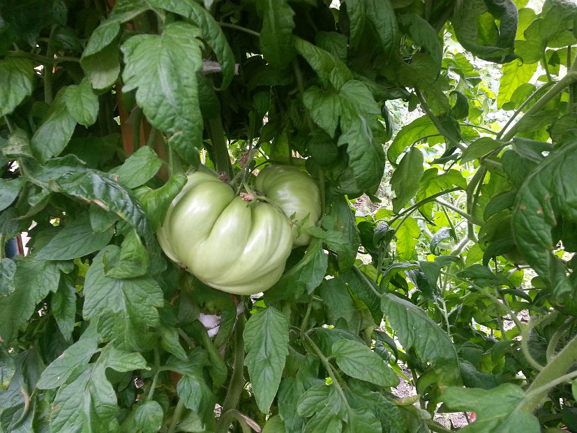 20130825_113900