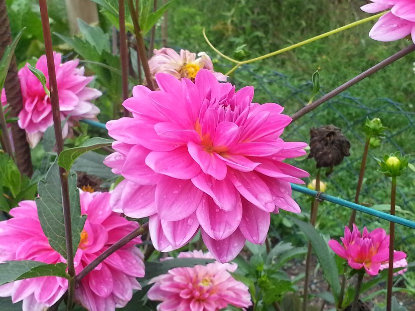 20130825_114255