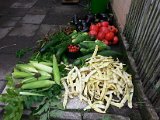 20130825_113148.jpg