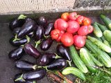20130825_113158.jpg