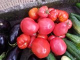 20130825_113202.jpg
