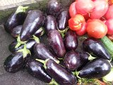 20130825_113211.jpg