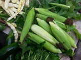 20130825_113224.jpg