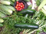 20130825_113226.jpg