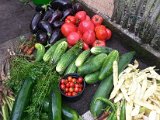 20130825_113234.jpg