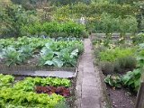 20130825_113239.jpg