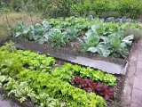 20130825_113244.jpg