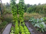 20130825_113254.jpg