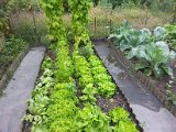 20130825_113257.jpg
