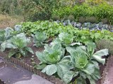 20130825_113259.jpg