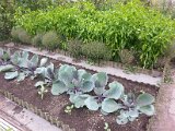 20130825_113314.jpg