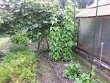 20130825_113402.jpg
