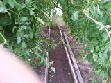 20130825_113417.jpg