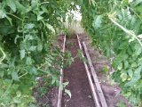 20130825_113419.jpg