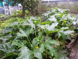 20130825_113423.jpg