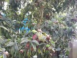 20130825_113441.jpg