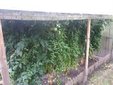 20130825_113511.jpg
