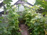 20130825_113521.jpg