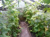 20130825_113523.jpg
