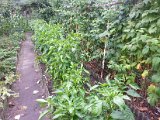 20130825_113527.jpg