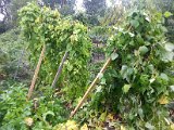 20130825_113530.jpg