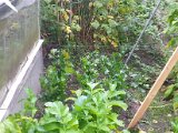 20130825_113540.jpg