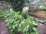 20130825_113605.jpg