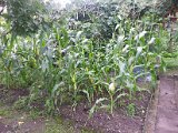 20130825_113608.jpg