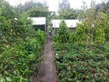 20130825_113613.jpg
