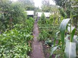20130825_113657.jpg