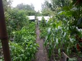 20130825_113707.jpg