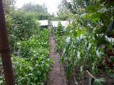 20130825_113708.jpg