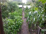 20130825_113710.jpg