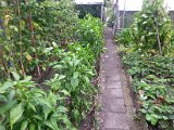 20130825_113720.jpg