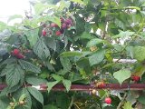 20130825_113733.jpg