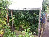 20130825_113750.jpg