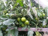 20130825_113827.jpg