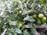 20130825_113835.jpg