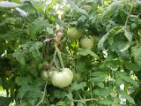 20130825_113845.jpg