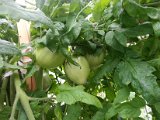 20130825_113852.jpg
