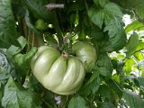 20130825_113903.jpg