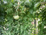 20130825_113916.jpg