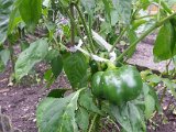 20130825_114005.jpg