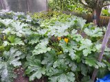 20130825_114034.jpg