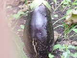 20130825_114520.jpg