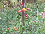 20130825_114532.jpg