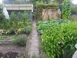20130825_114551.jpg