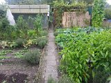 20130825_114552.jpg