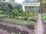 20130825_114554.jpg