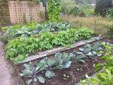 20130825_114557.jpg